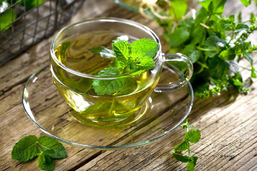 Fresh mint